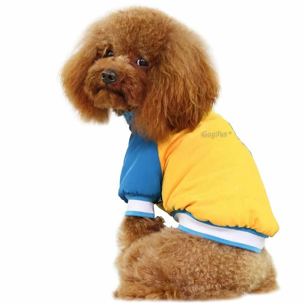 Chaqueta cálida y deportiva para perros GogiPet, amarilla