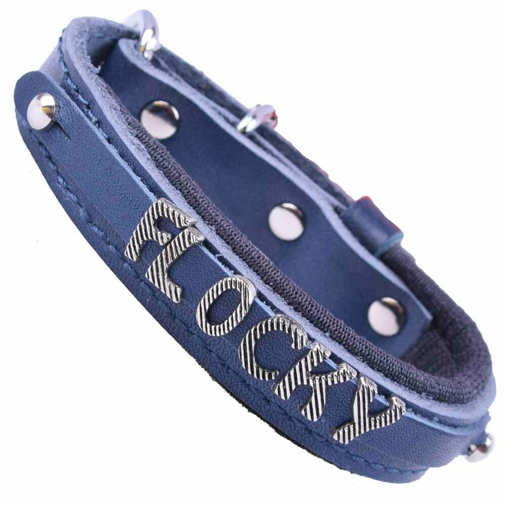 Collares de perro de cuero como nombre collar azul de GogiPet
