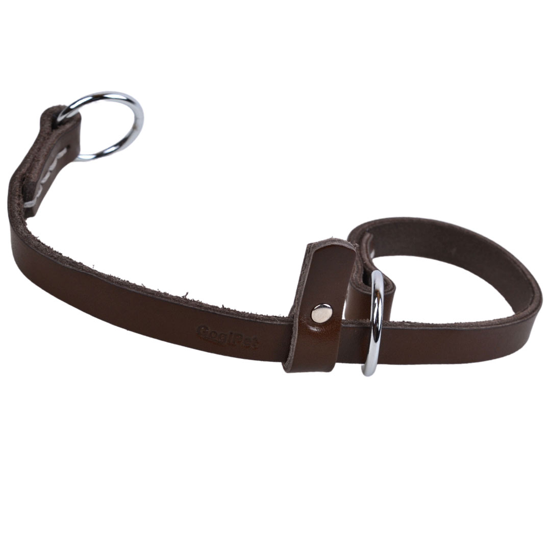 GogiPet® slip collar - Marrón collar de perro de cuero genuino para la circunferencia del cuello de 21 - 40 cm