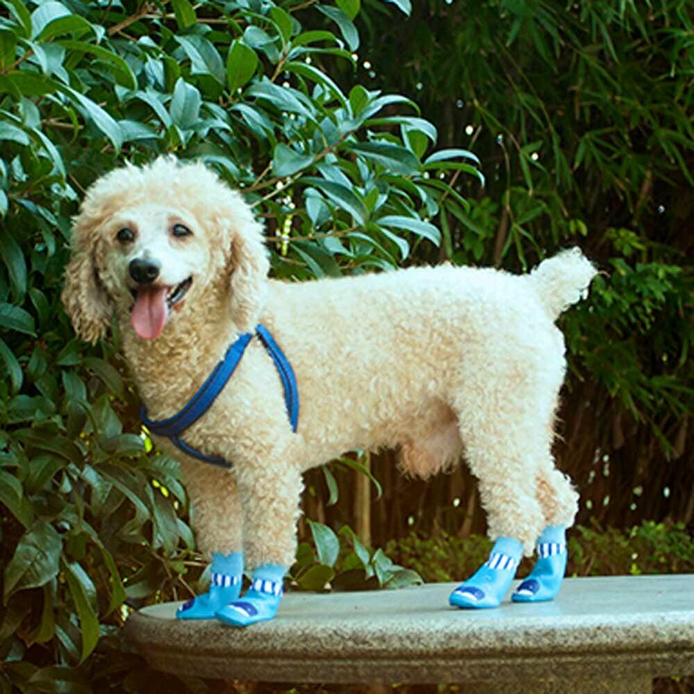 Botas impermeables para perros Ballena azul con suela de goma