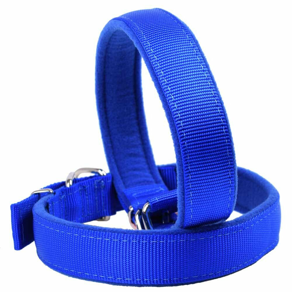 Collar para perros de tejido nylon robusto y acolchado con forro polar GogiPet®, azul
