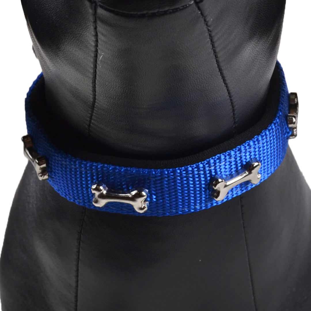 Collar para perros acolchado Confort de GogiPet®, azul con huesos