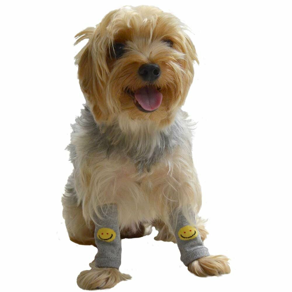 Calentadores de patas para perros "Smiley" de DoggyDolly, gris