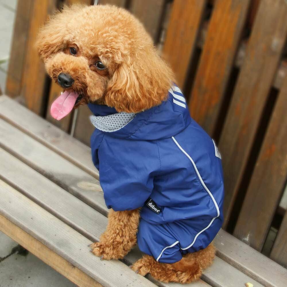 Chubasquero azul para perros pequeños con 4 mangas y capucha desmontable