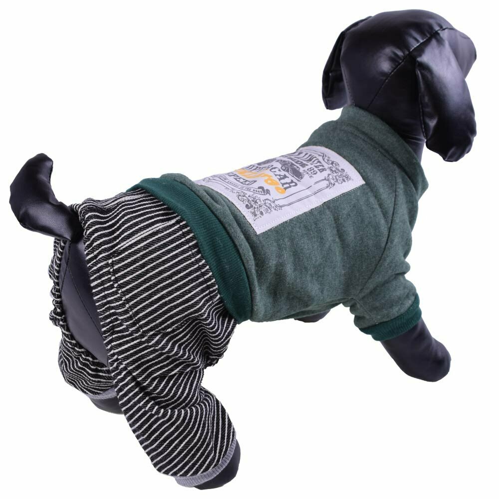 Mono cálido de algodón para perros GogiPet, "Supercar" verde