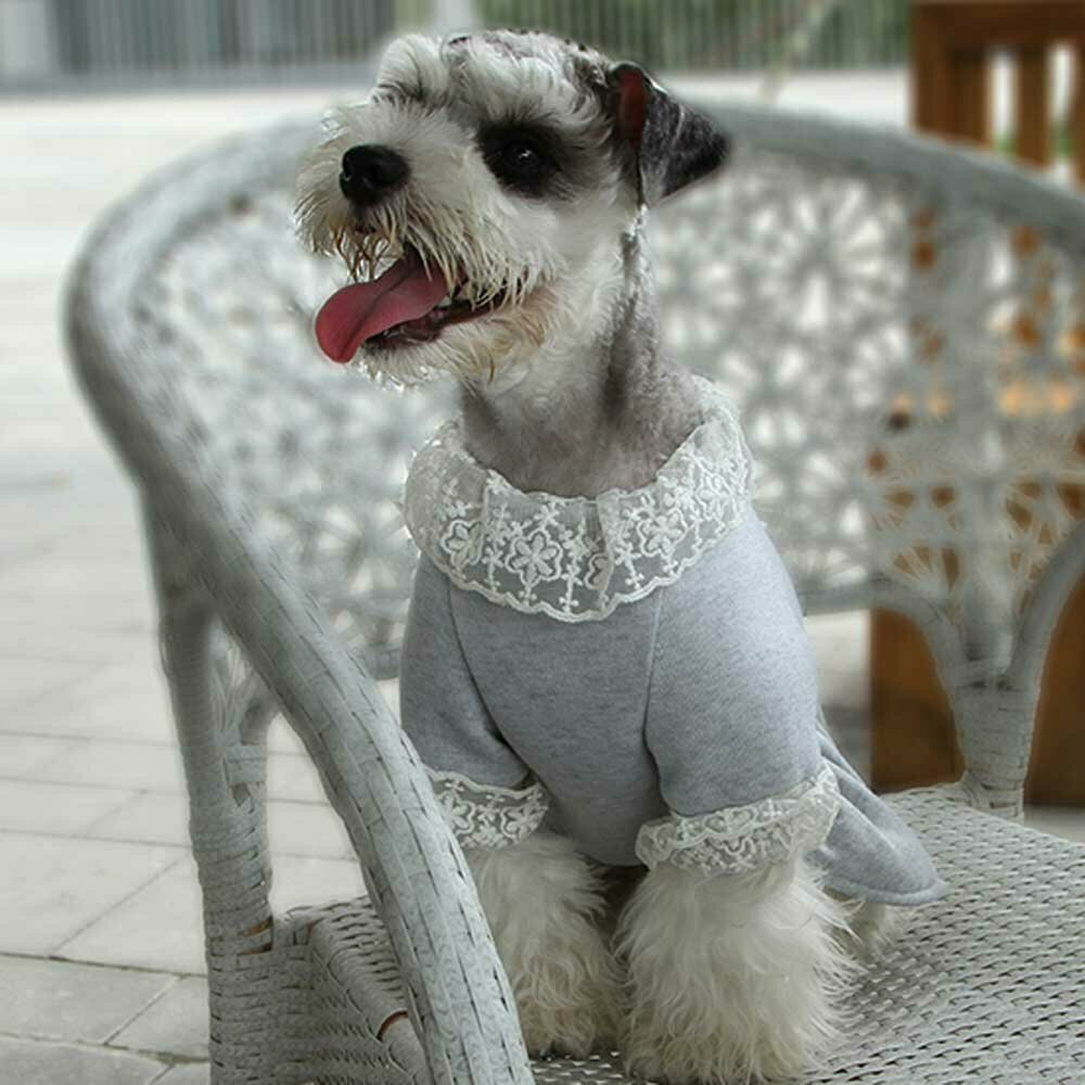 Vestido moderno de forro polar para perros "Beautiful Winter", gris