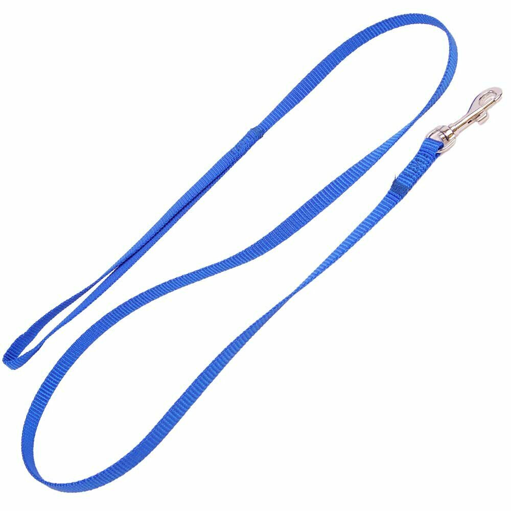 Correa de nylon azul para perros, muy resistente y duradera.