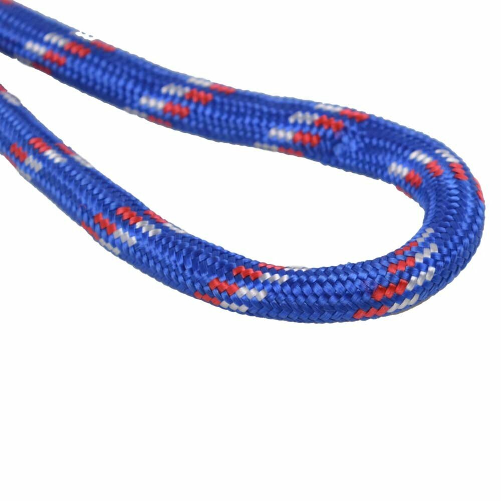Correa para perros redonda de alta calidad hecha de cuerda de escalada azul