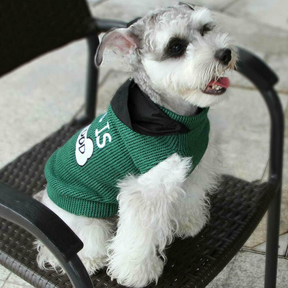 Suéter de punto sin mangas para perros con capucha, verde