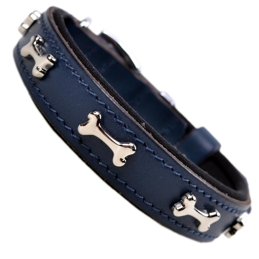 Bonito collar para perros de cuero azul con acolchado suave y huesos de metal como decoración
