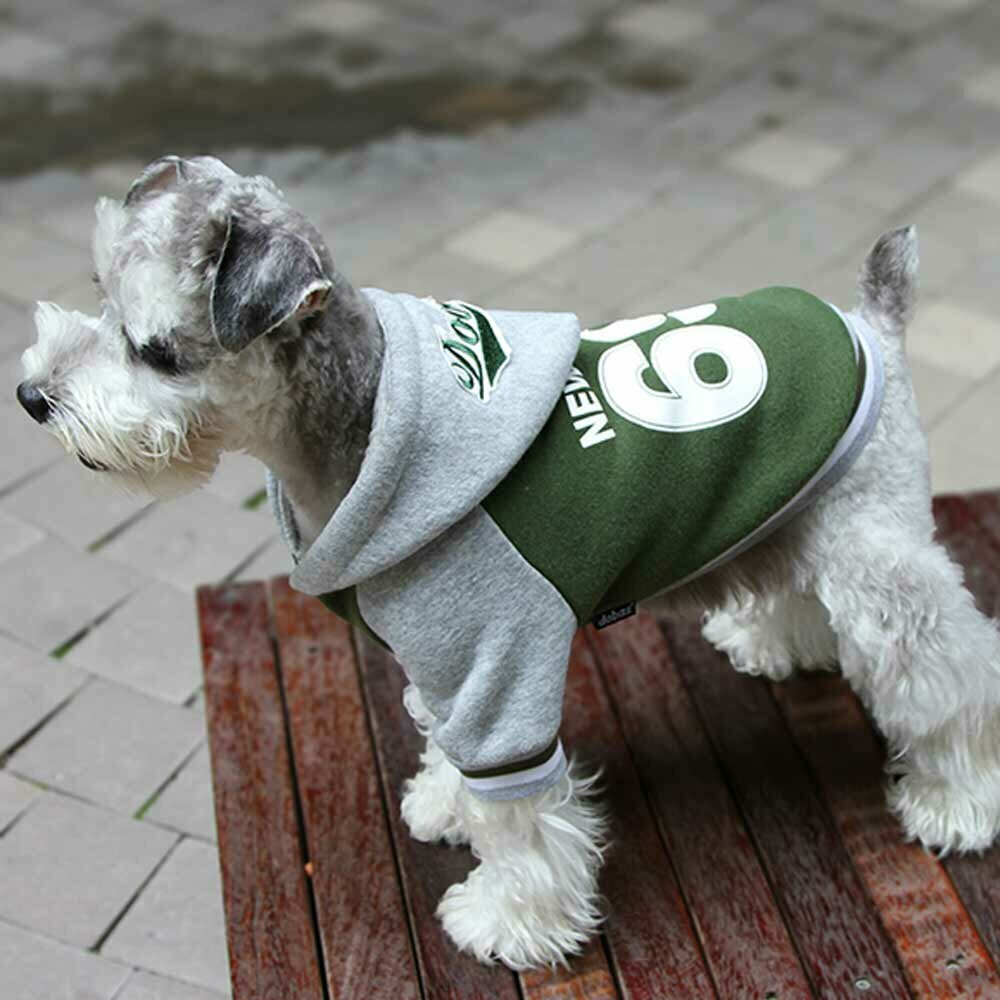 Chaqueta deportiva de algodón para perros con capucha "New York 69", verde