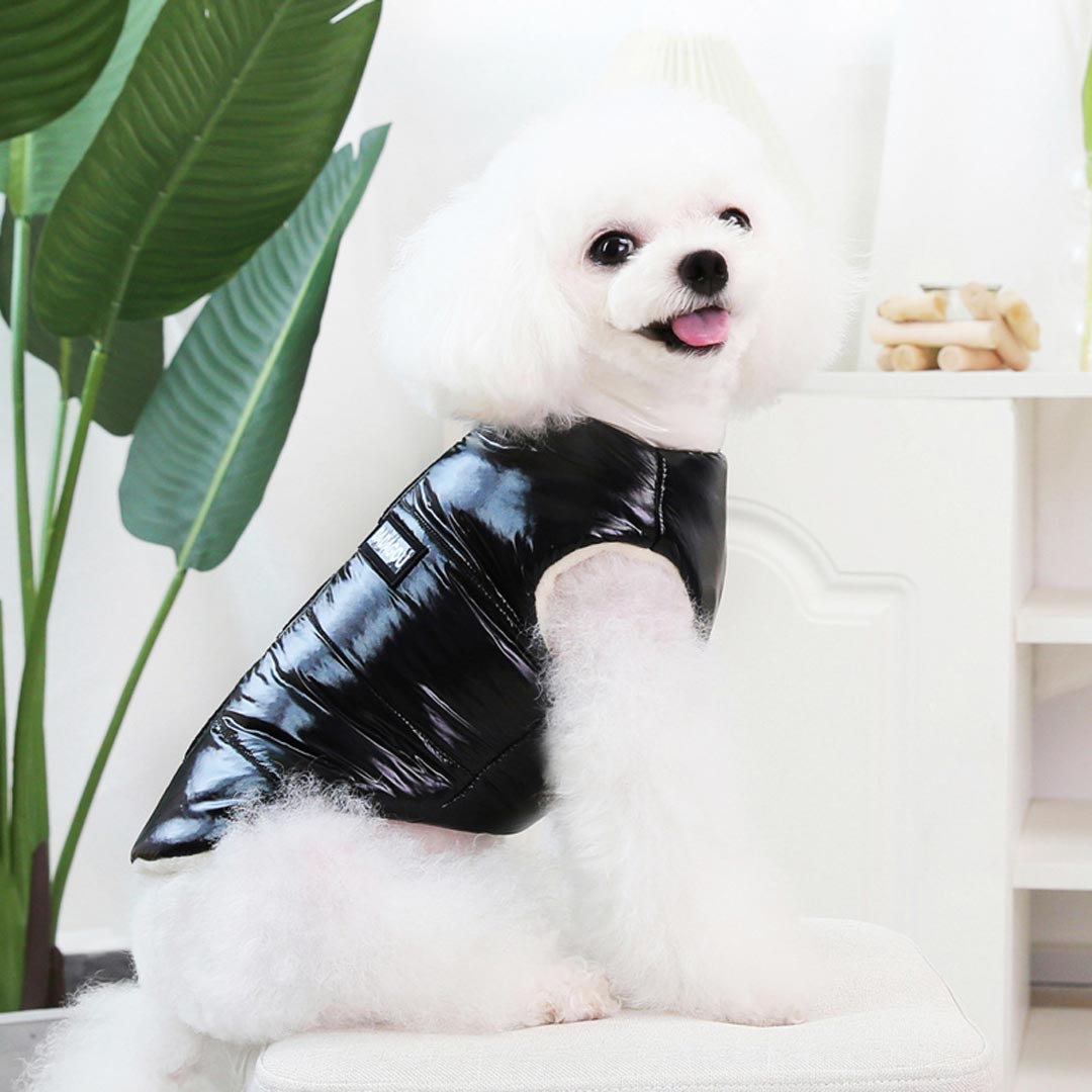 Cálido y cómodo anorak para perros sin mangas, cuello alto y con forro cálido, en color negro