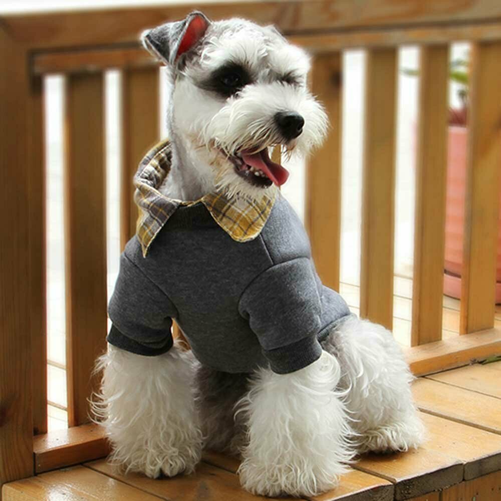 Sudadera de forro polar para perros "Perfect Style", gris, para los días frios