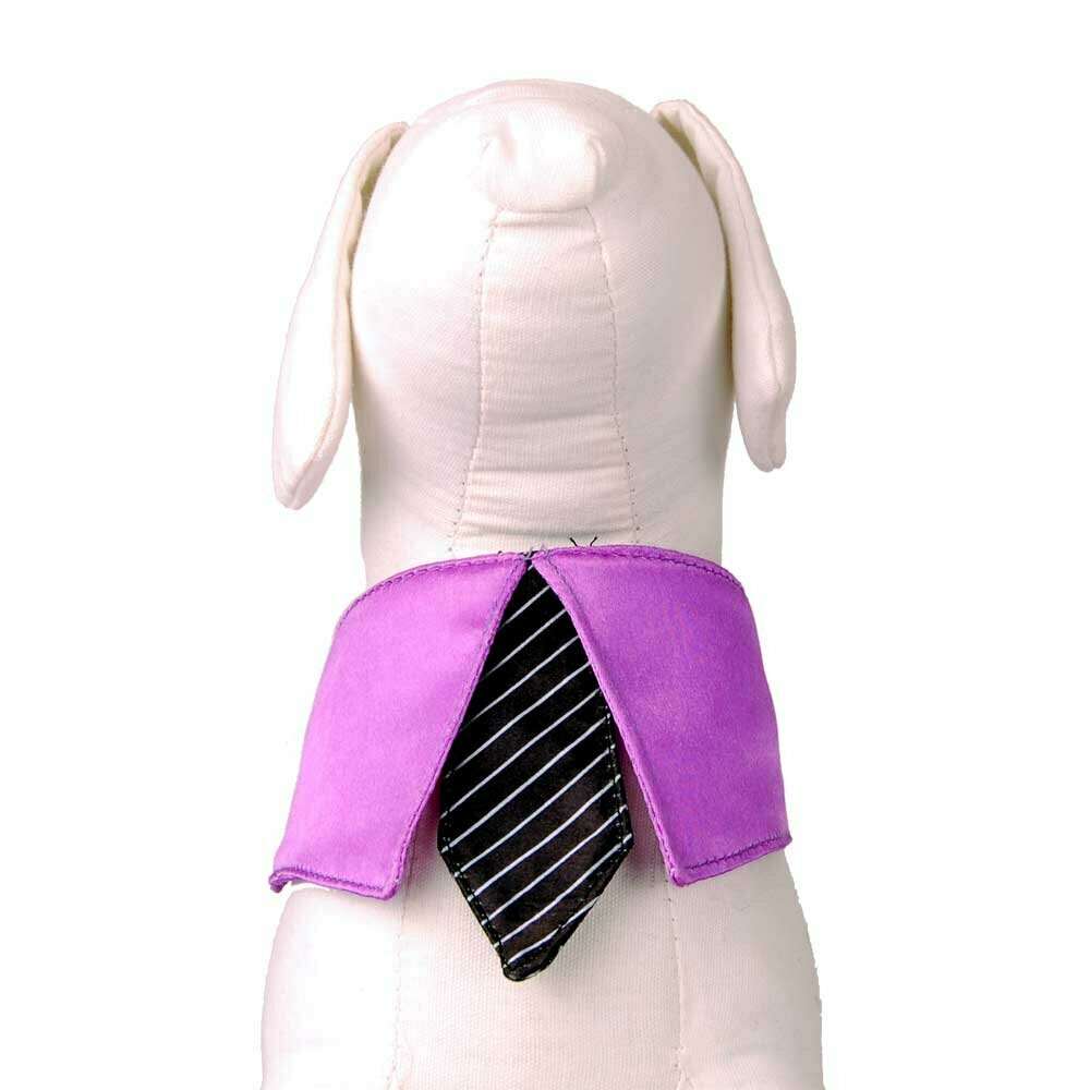 Hundehalsband mit Krawatte von GogiPet ®