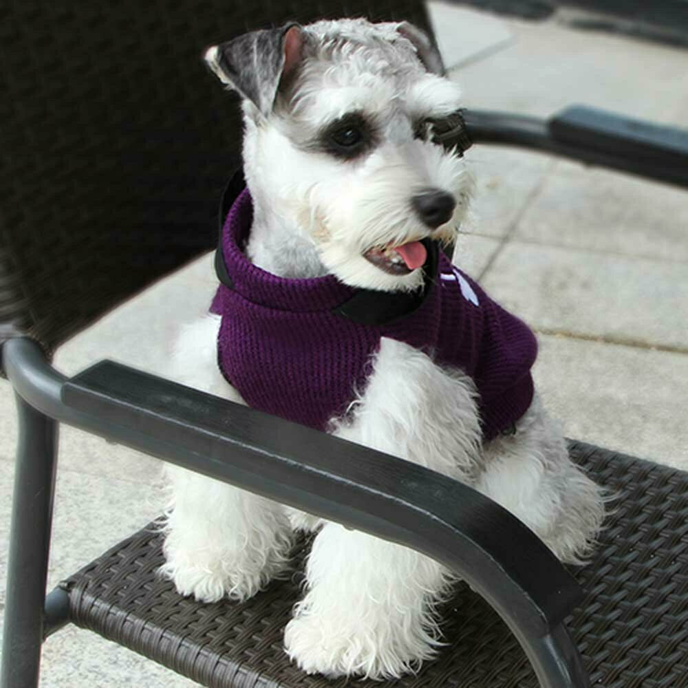 Suéter de punto sin mangas para perros con capucha, lila