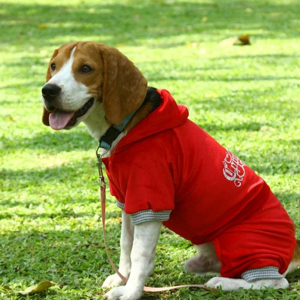 Chándal para perros con capucha "Copy Right" de DoggyDolly, rojo
