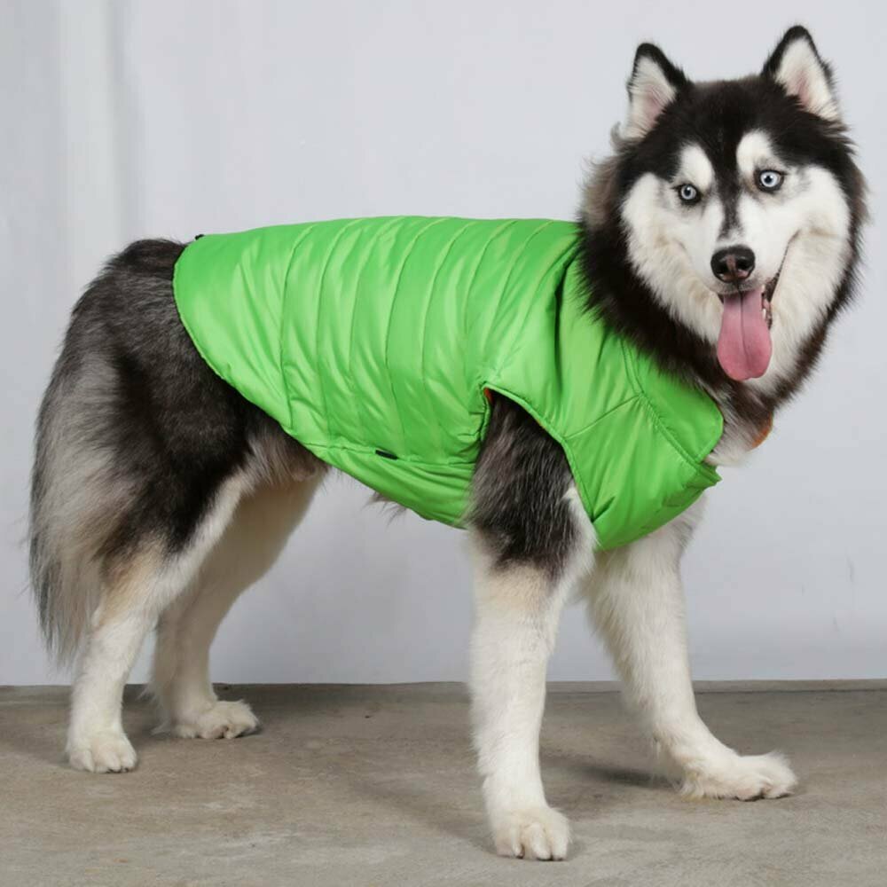 Chaleco para perros grandes cálido de DoggyDolly, verde