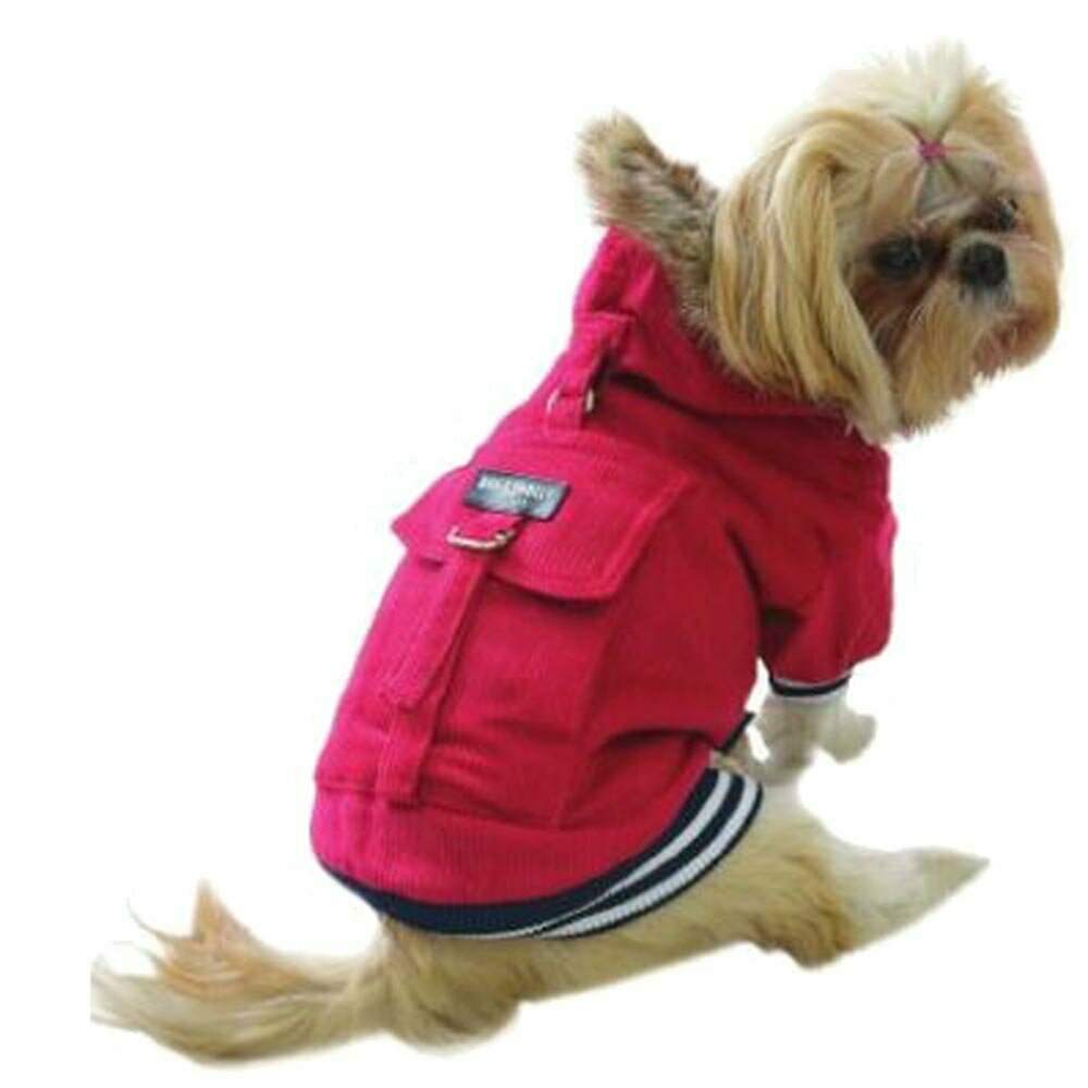 Ropa de abrigo para perros de DoggyDolly - Moda para perros