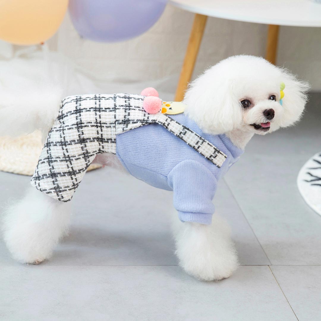 Cálido abrigo para perros pequeños con pantalón de peto blanco a rayas negras y suéter de punto azul, ropa de una pieza