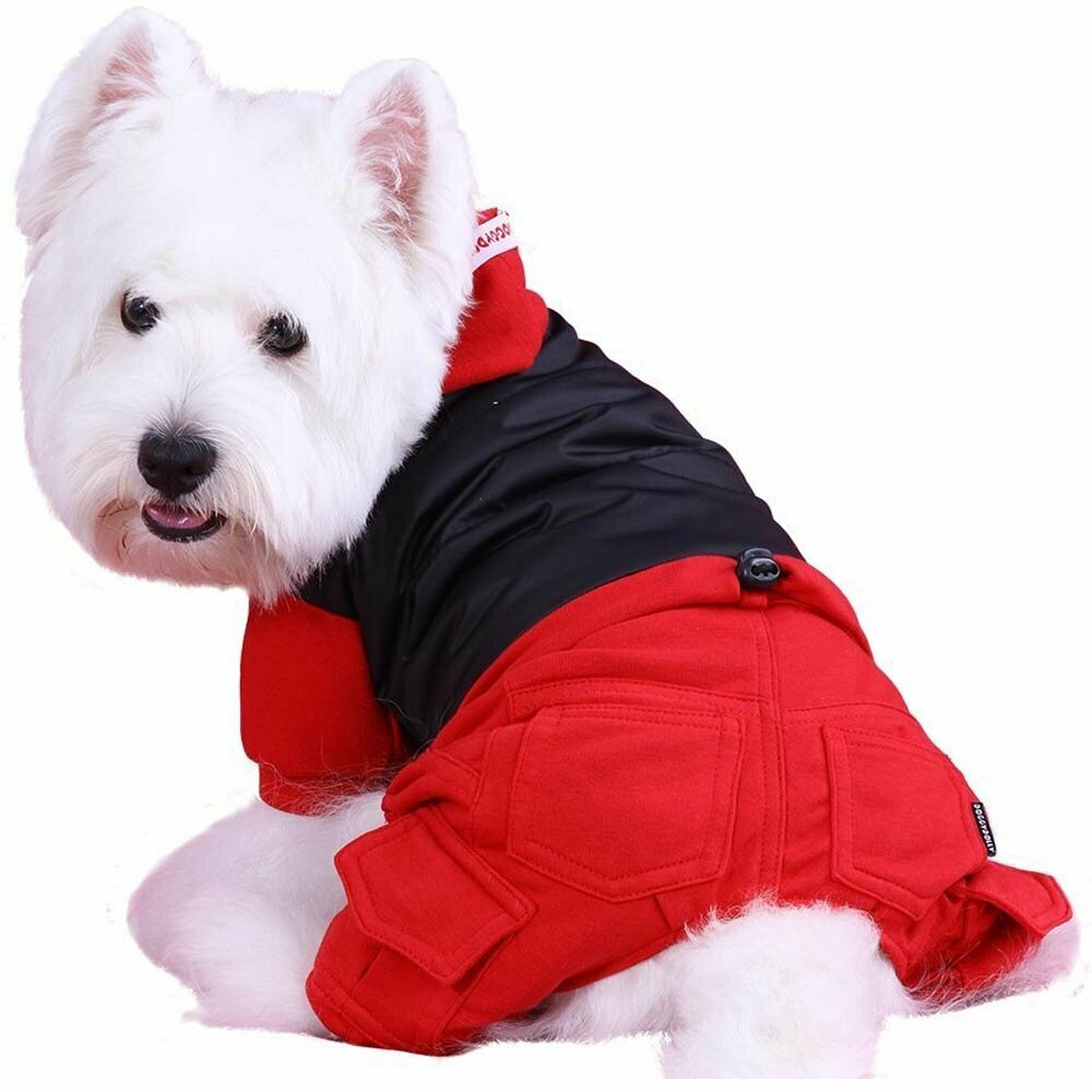 Ropa de abrigo para perros con 4 mangas de DoggyDolly
