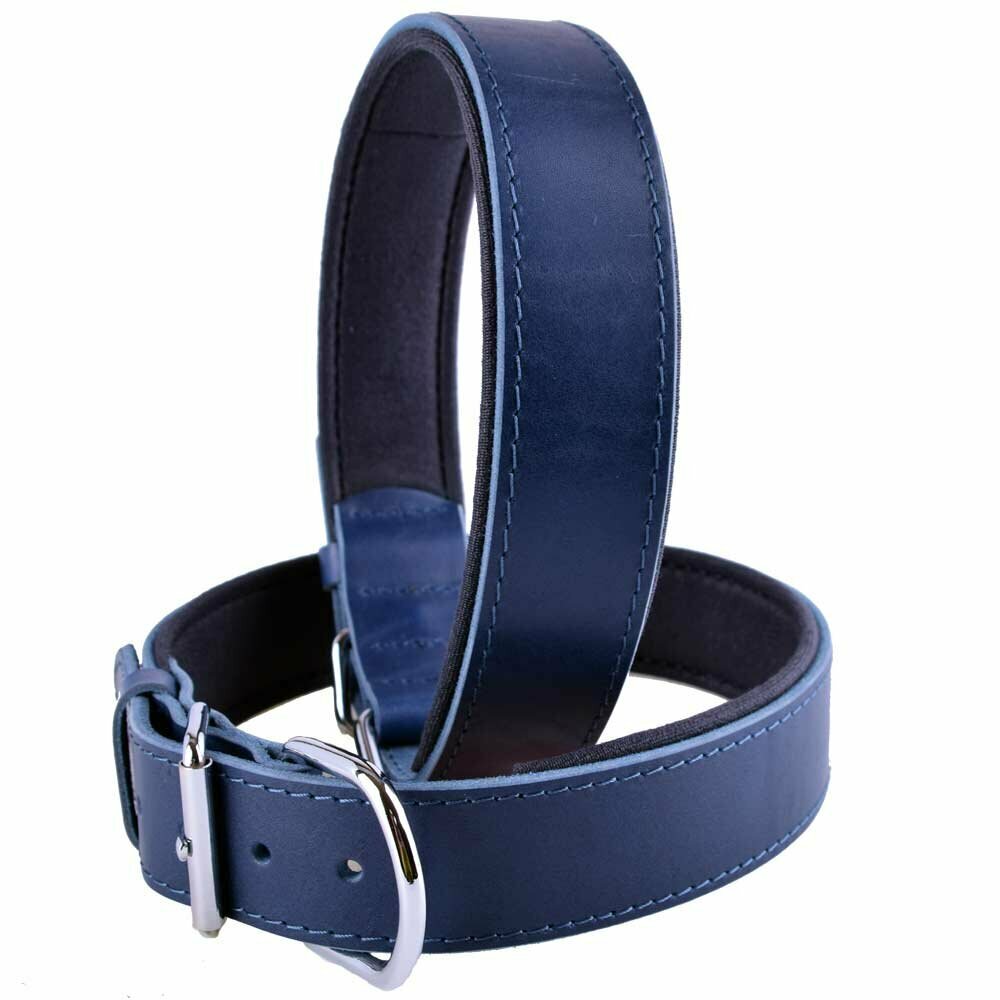 GogiPet® confort collar de perro de cuero azul con 75 cm