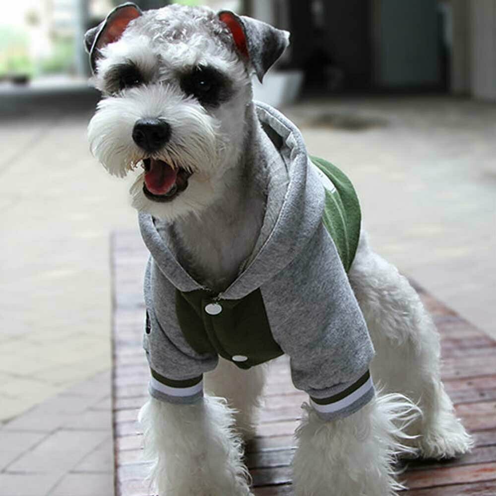 Chaqueta de algodón para perros con capucha "New York 69", verde
