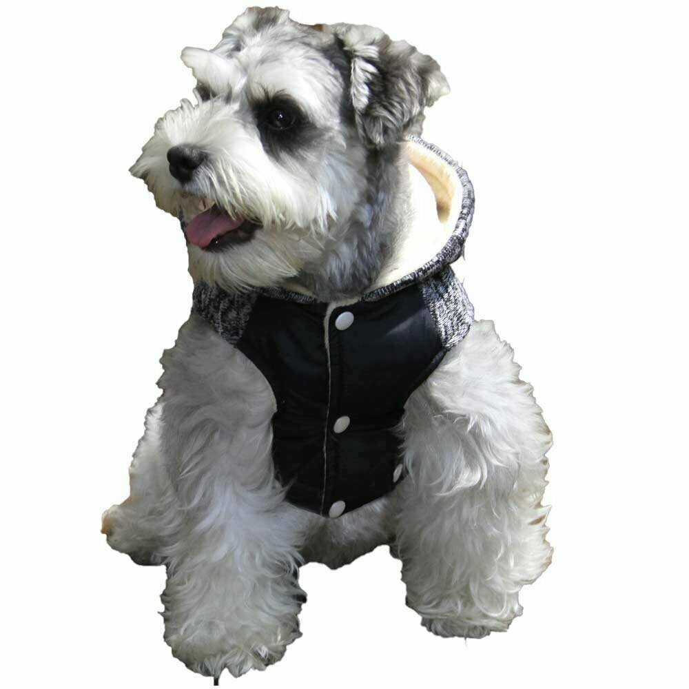 Chaleco cálido para perros "Bello" GogiPet, gris con capucha