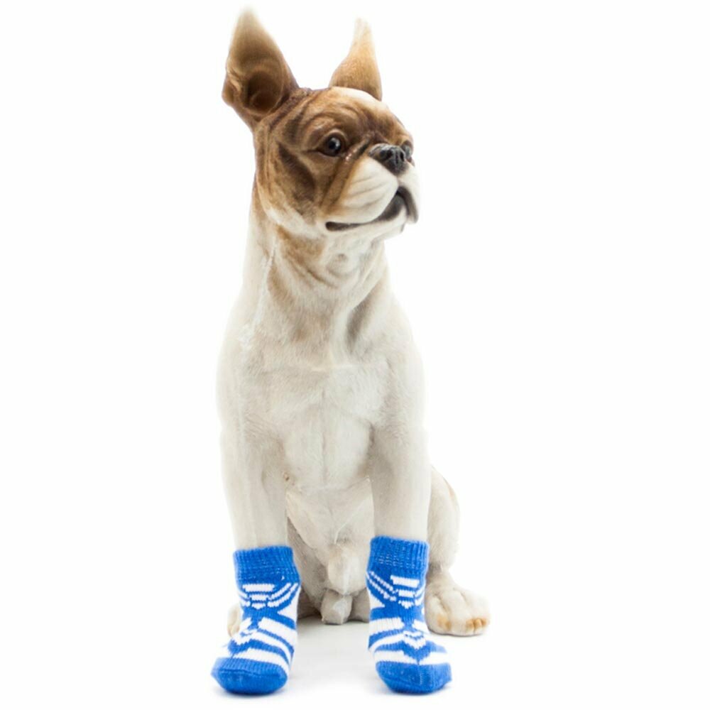 Calcetines antideslizantes para perros GogiPet, azul con corbata