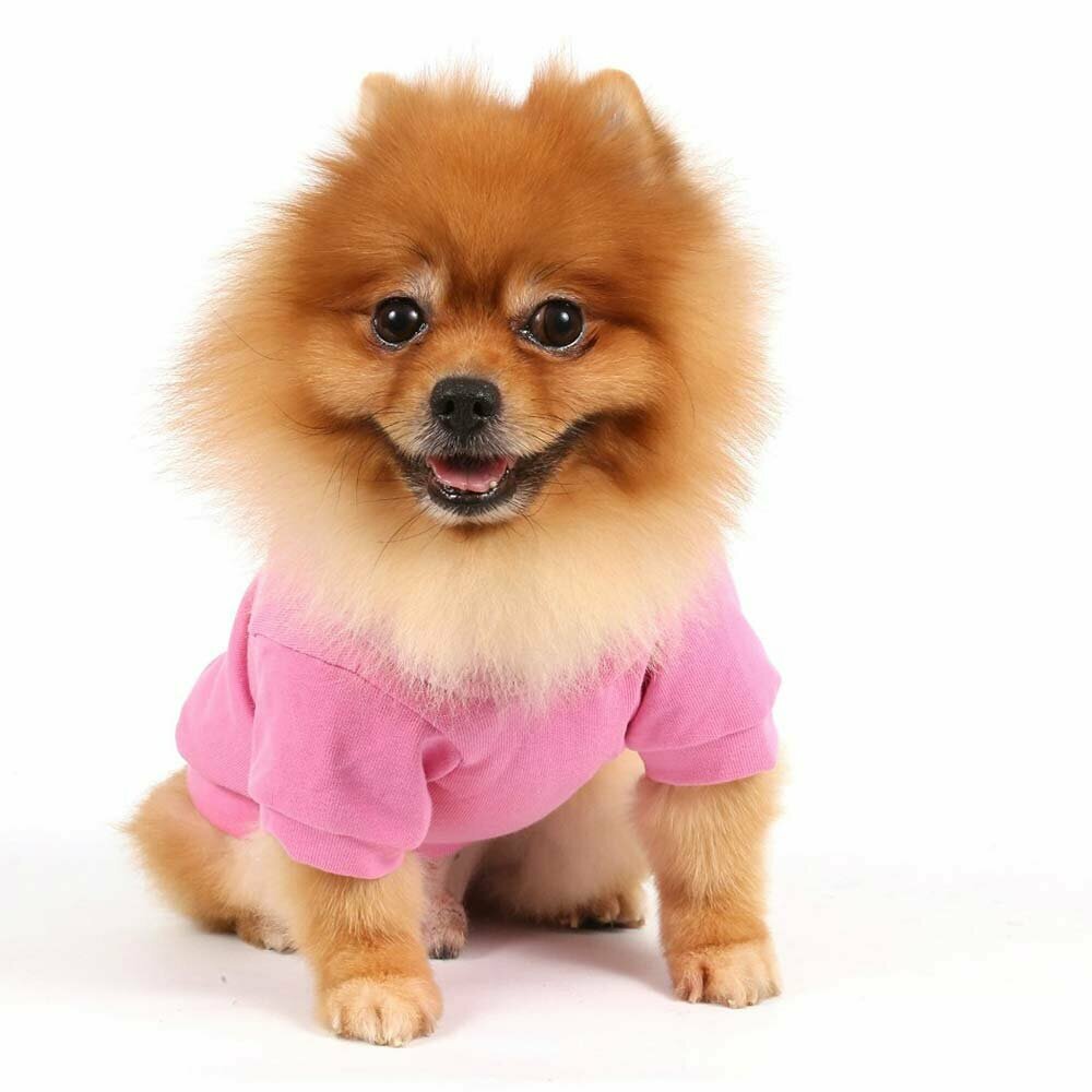 Sudadera para perros rosa con capucha "Royal divas" de DoggyDolly W231 - Ropa para perros en Onlinezoo.es