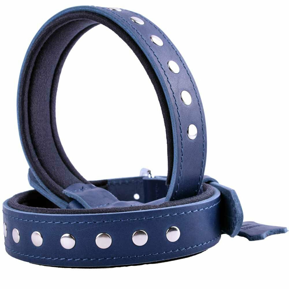 Collar para perros de cuero con remaches planos de GogiPet®, azul 