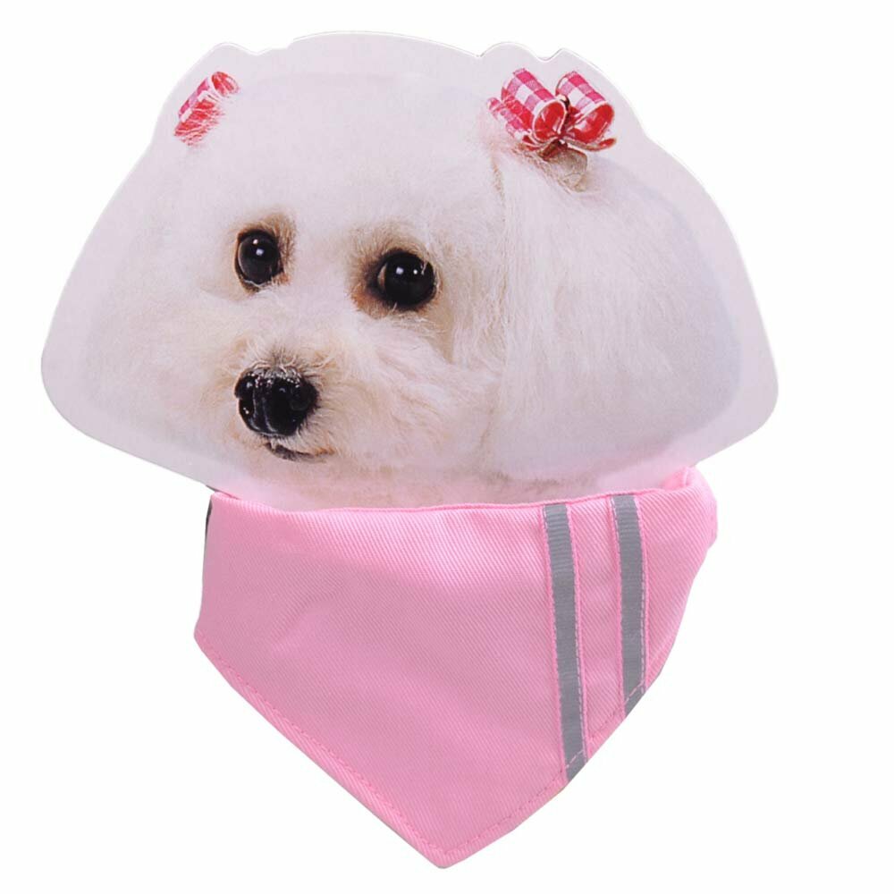 Pañuelo triangular para perros rosa con rayas reflectantes-Ajustable de 23 a 28 cm.