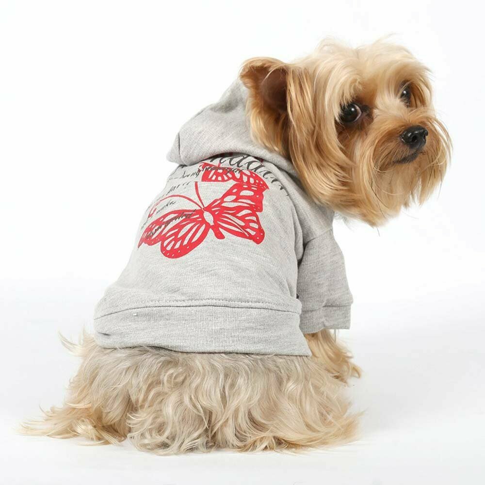 Cómoda y cálida ropa de invierno para perros de DoggyDolly W232