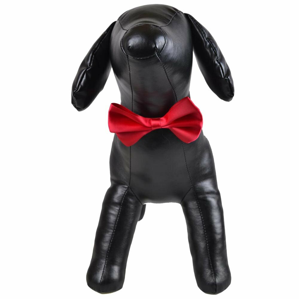 Fantásticos accesorios para mascotas de GogiPet en Onlinezoo - Pajaritas y corbatas para perros, infinidad de modelos y colores