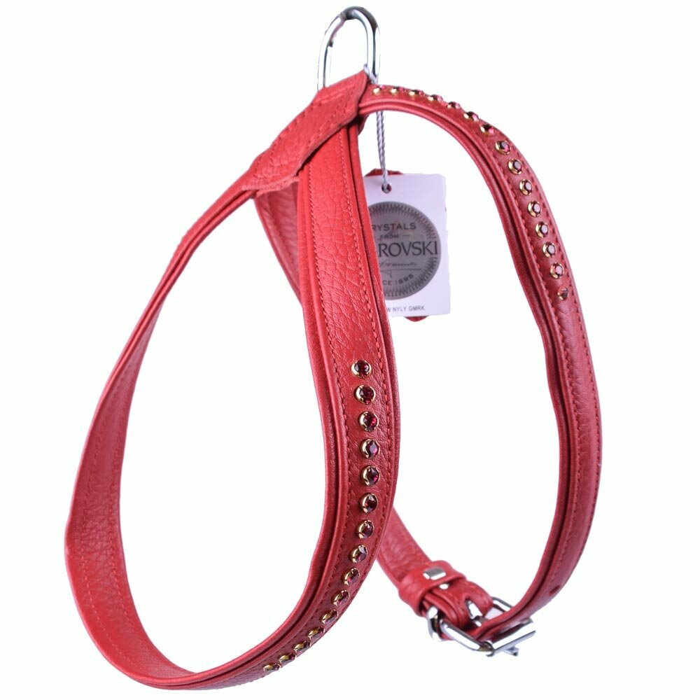 Arnés para perros de cuero rojo y cristales Swarovski en color rojo rubí de la firma GogiPet®, modelo Rubin
