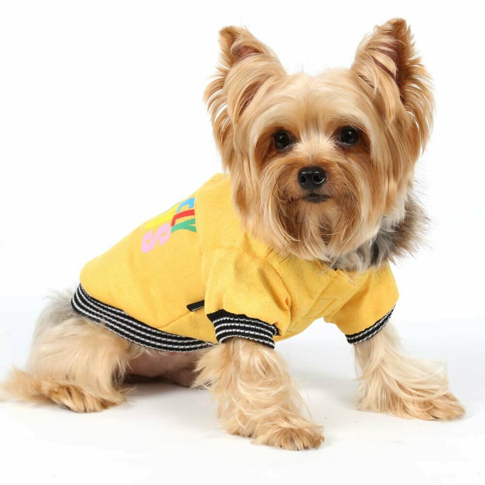 Ropa de abrigo para perros de DoggyDolly muy cómoda