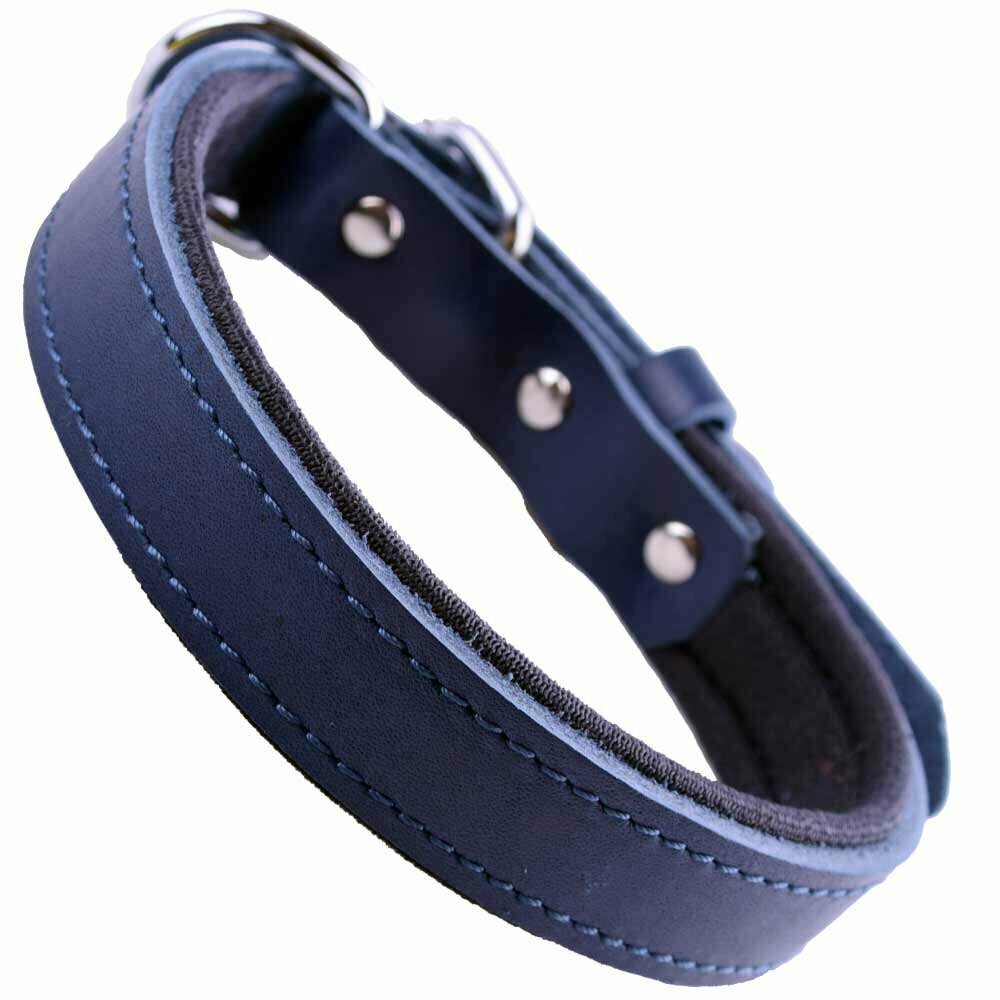 GogiPet® confort collar de perro de cuero azul con 40 cm