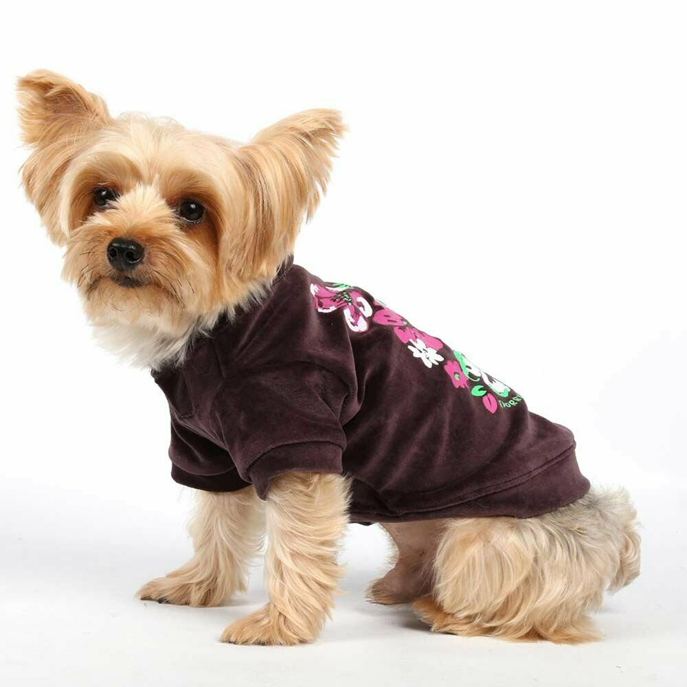 Abrigo para perros con capucha - Ropa de invierno para perros