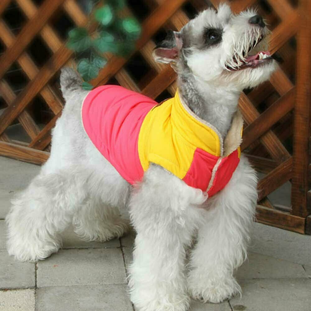 Chaleco cálido y colorido para perros Premium de GogiPet, rosa-amarillo