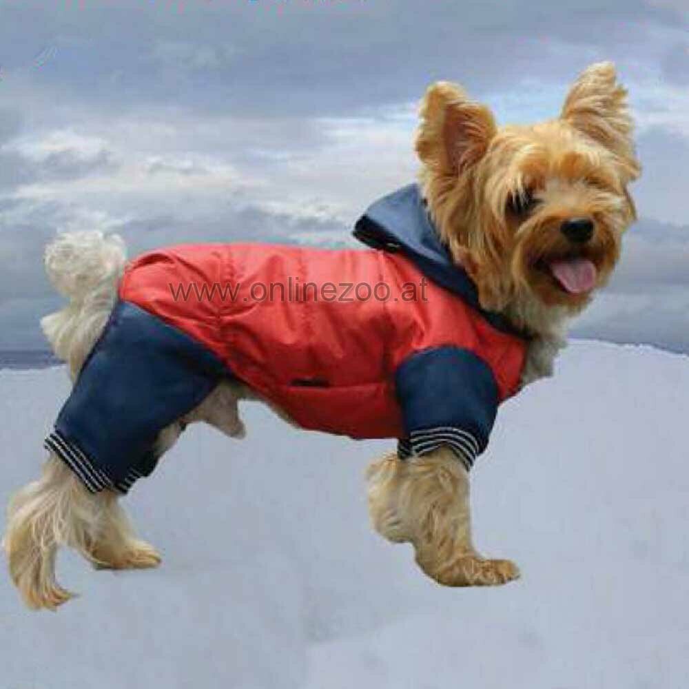Traje de nieve para perros con 4 patas rojo y azul de DoggyDolly