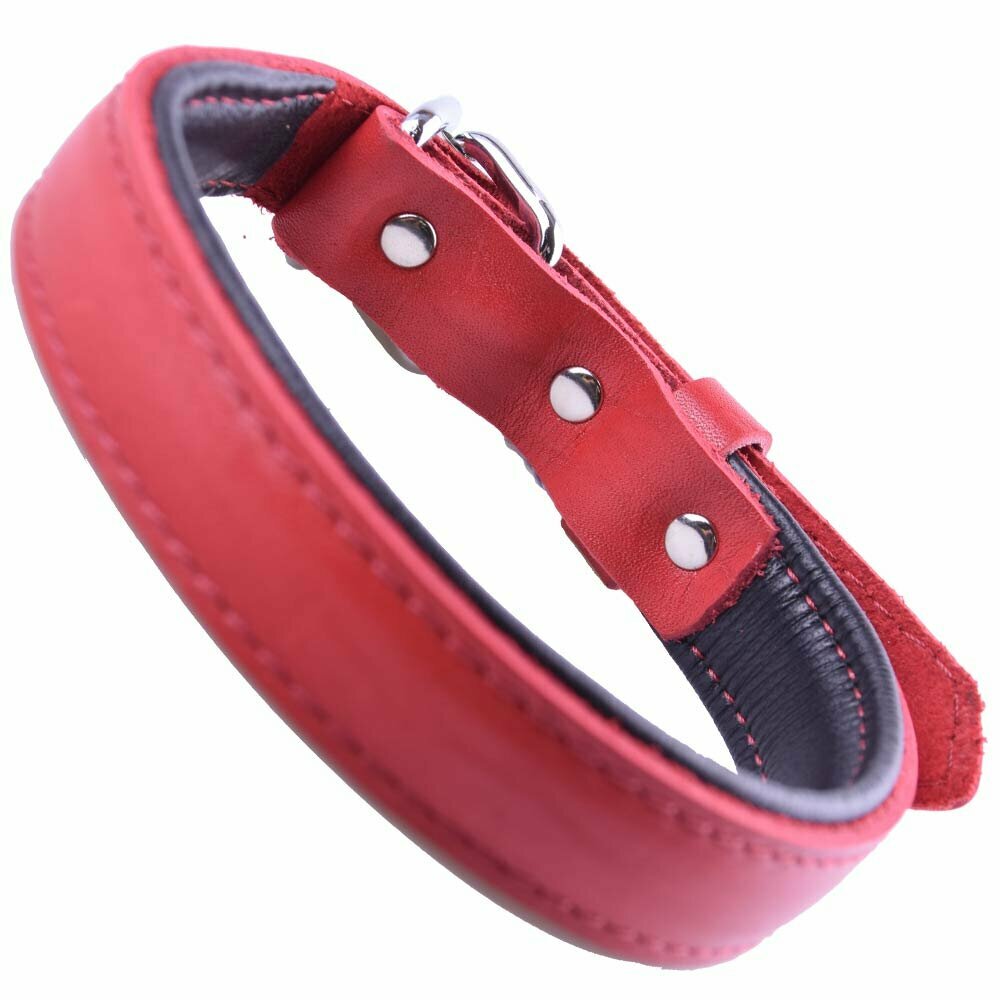 GogiPet ® collar de perro de cuero suave rojo con 40 cm