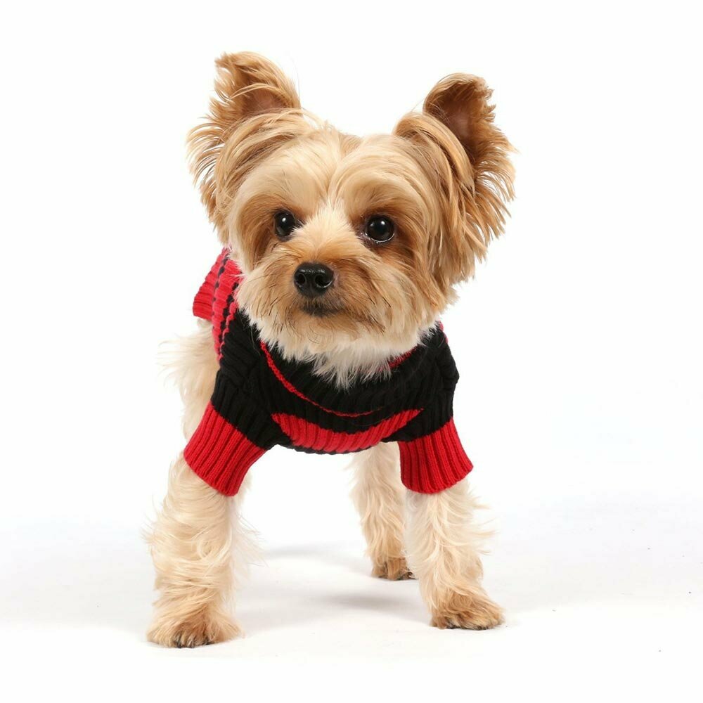  Moderno pulóver moderno para perros