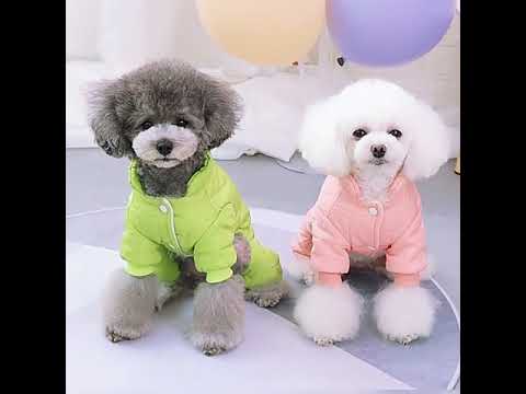 Abrigo para perros "Fresa" con cálido forro polar, verde