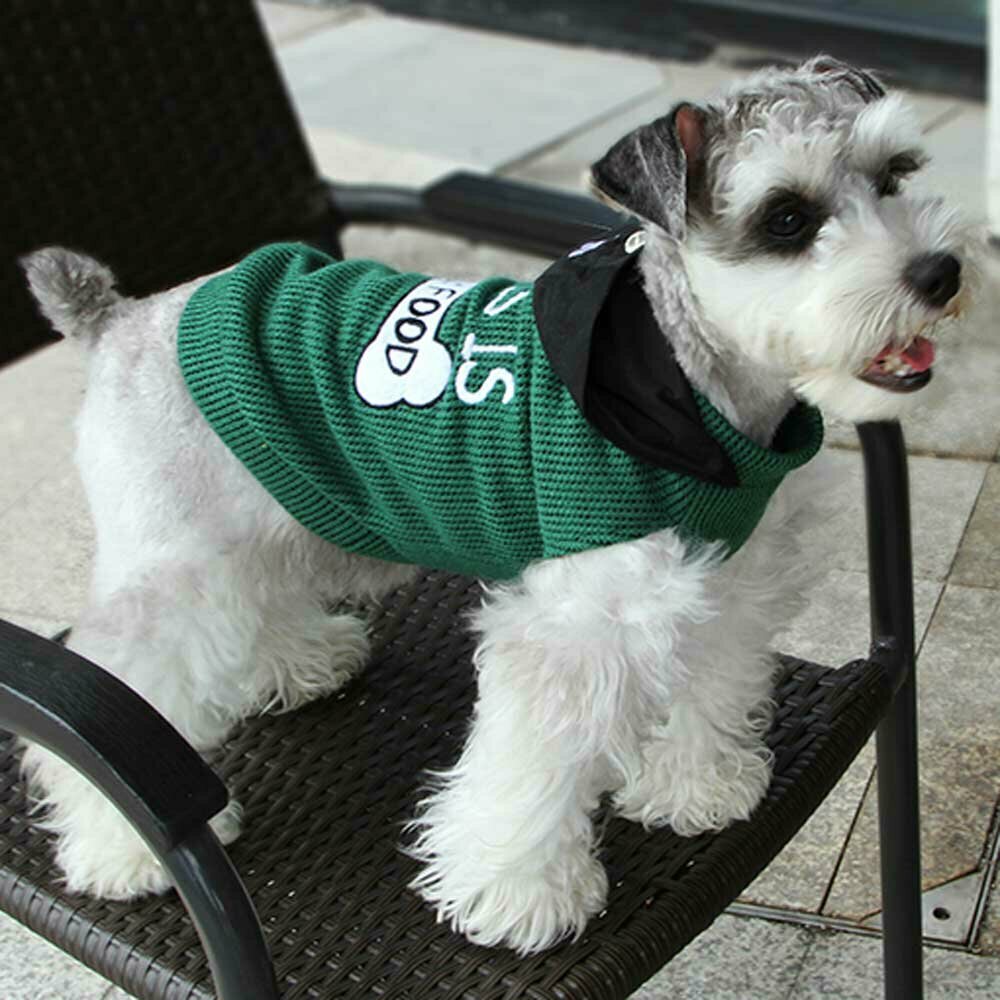 Suéter de punto sin mangas para perros con capucha, verde