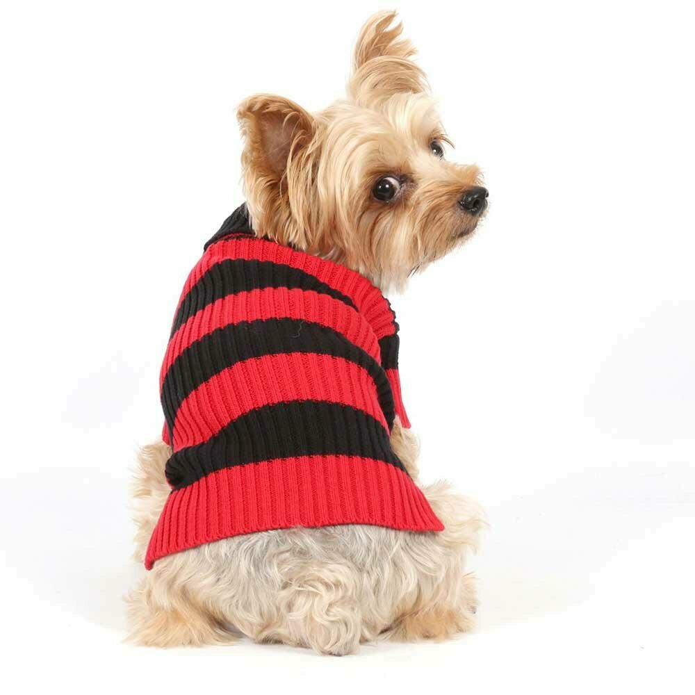 Precioso jersey rojo para perros para el invierno