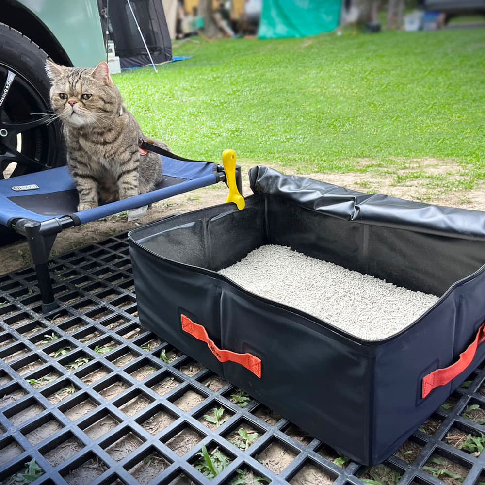 Caja sanitaria para gatos para viajes