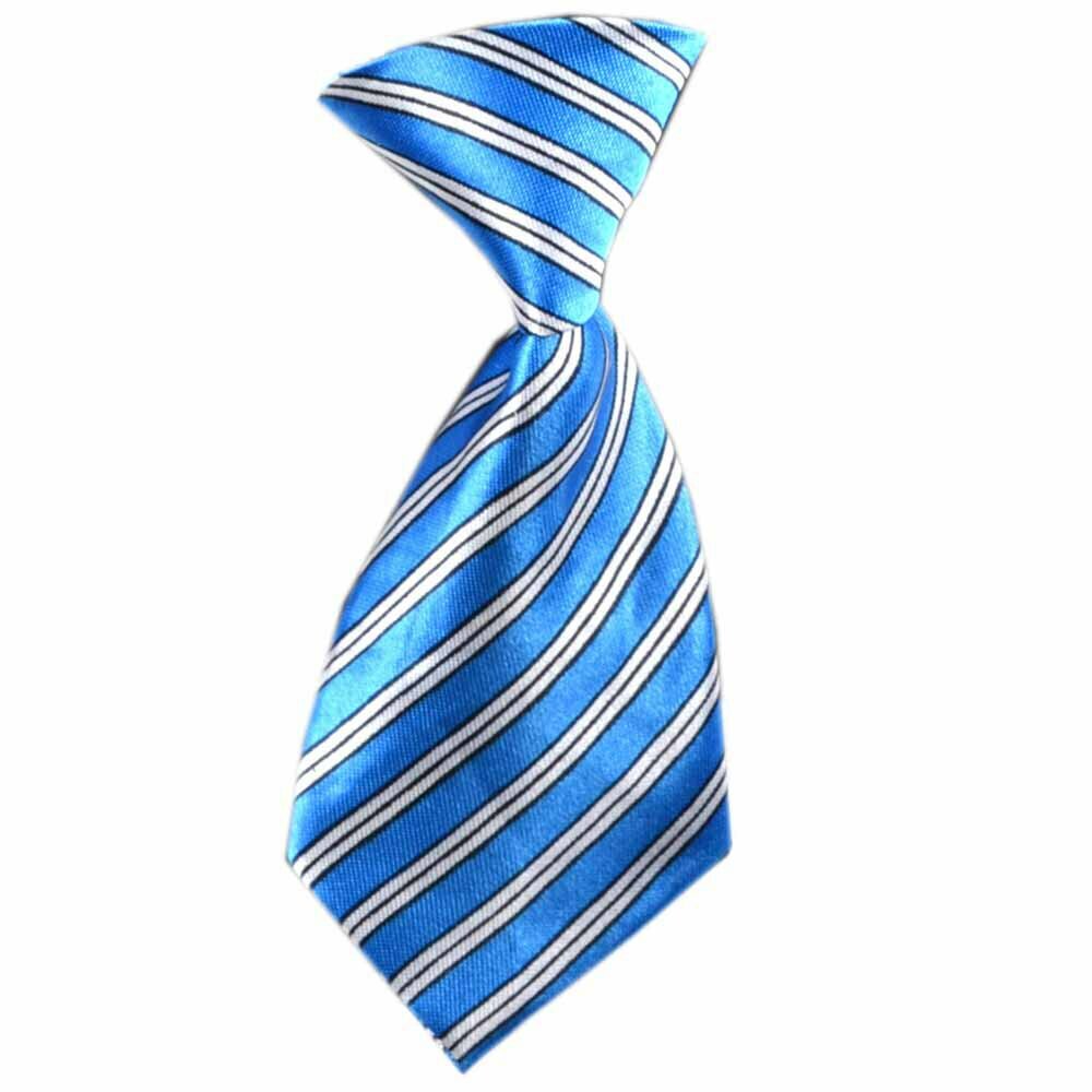 Corbata para perros con rayas azules y blancas modelo "Edward"