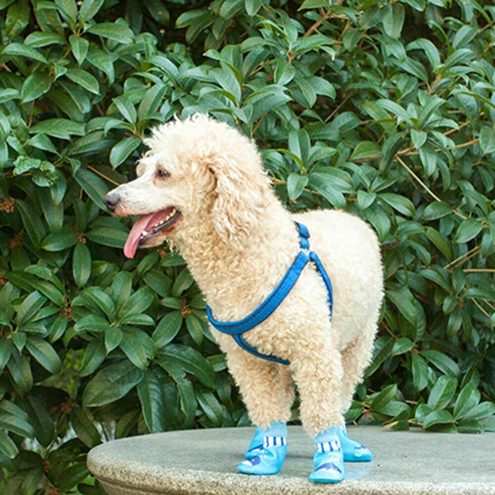Botas para perros Ballena azul con suela de goma con libertad de movimiento sin restricciones