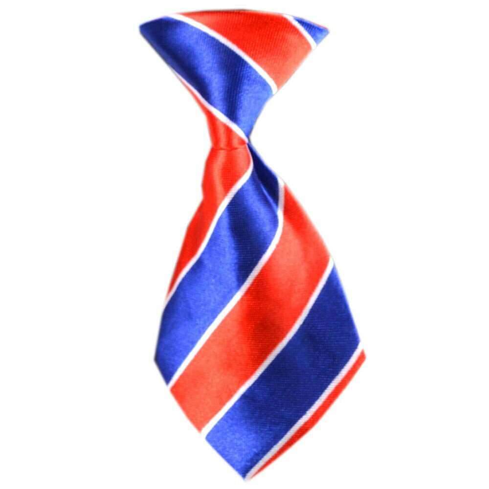 Corbata para perros con rayas rojas y azules modelo "William"