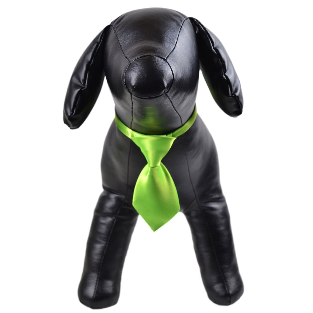 Corbata para perros en color verde claro de GogiPet®