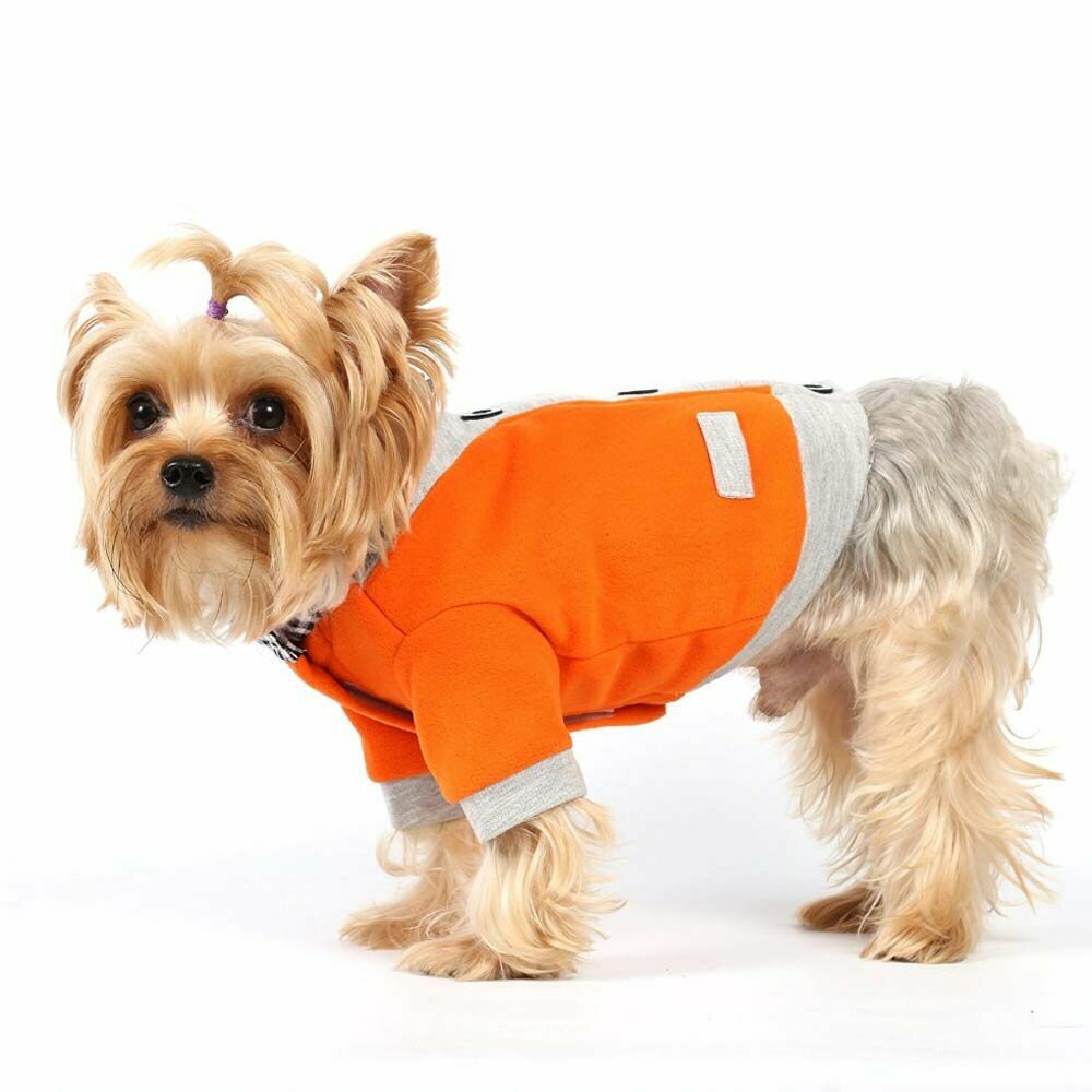 Precioso suéter para perros naranja y gris de DoggyDolly